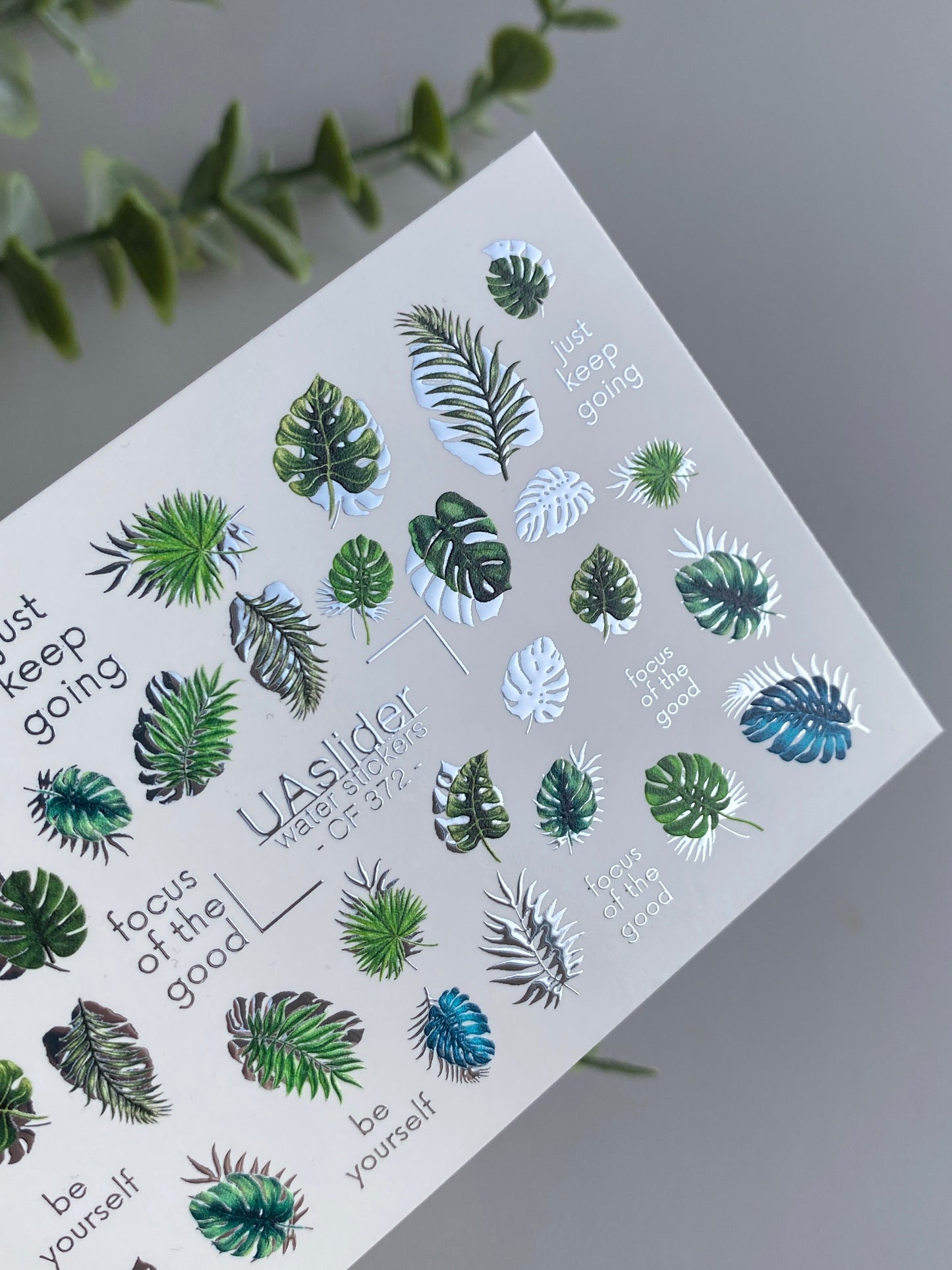 Nail Water Decal CF-372 | Water Slide Nail Decals | Tropical Leaves & Jungle Style | Palm & Monstera Nail Art