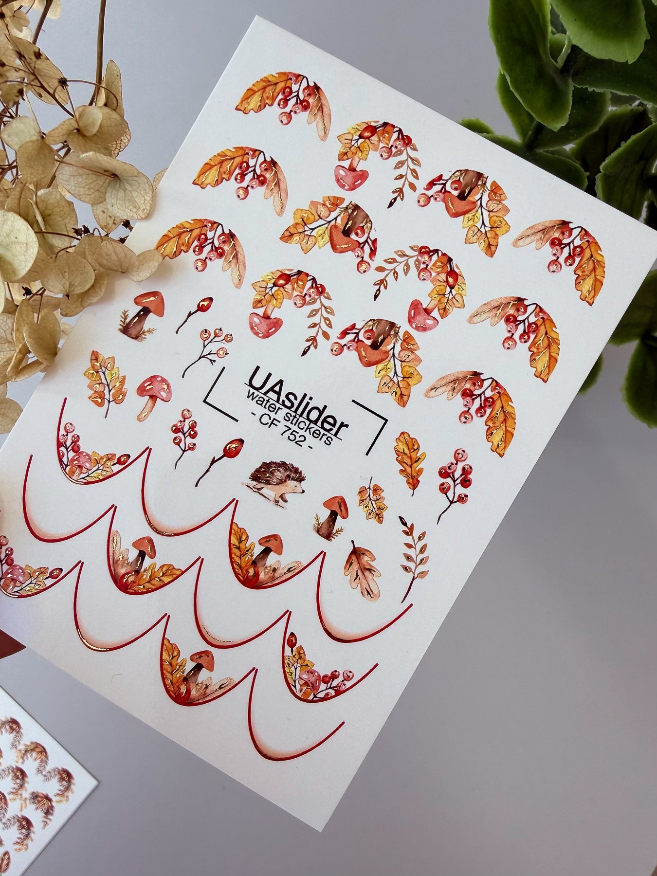 Nail Water Decal CF-752 | Water Slide Nail Decals | Autumn Leaves and Mushrooms Design