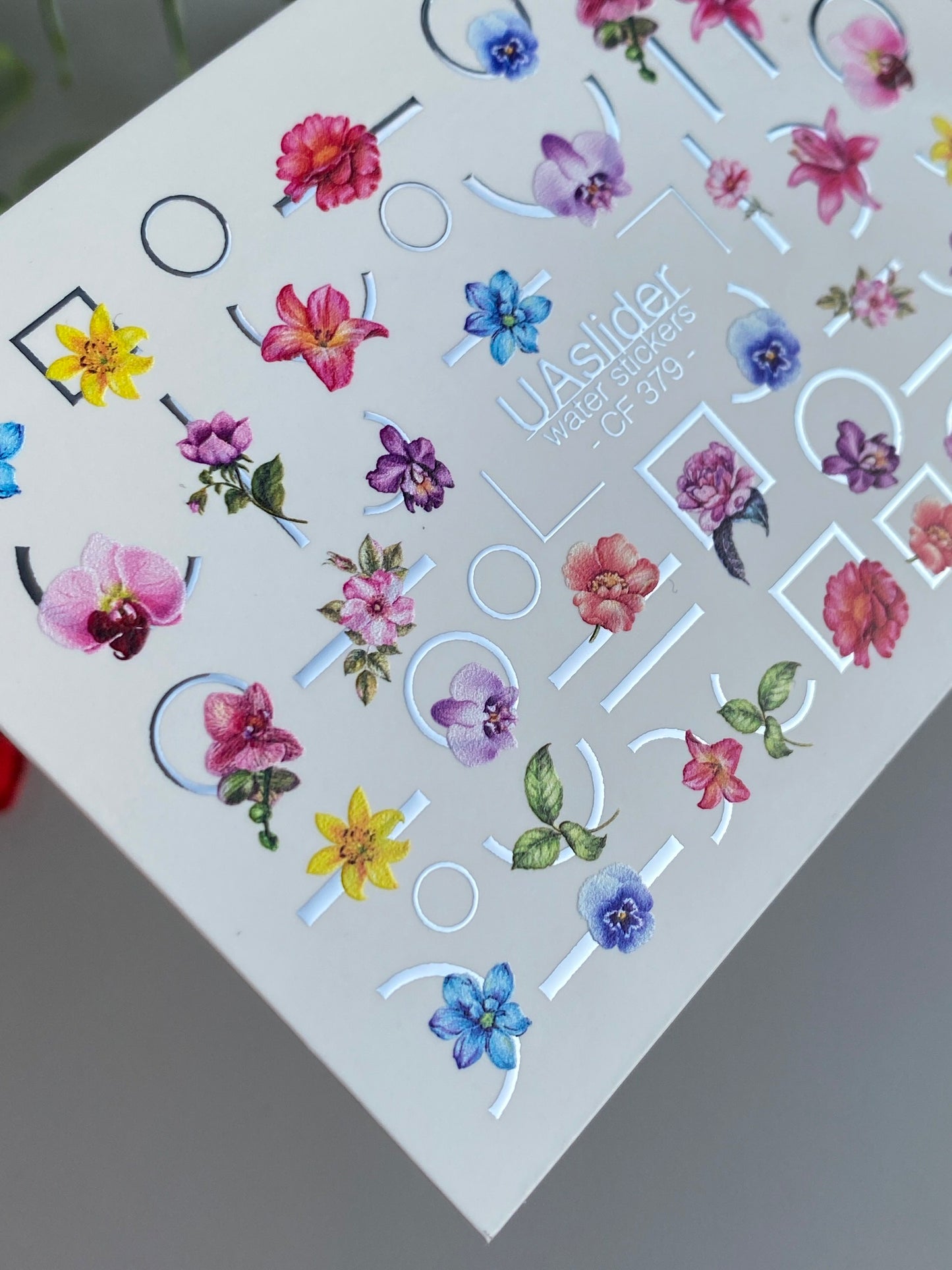 Nail Water Decal CF-379 | Colorful Floral Water Slide Nail Decals | Orchids with Geometric Accents