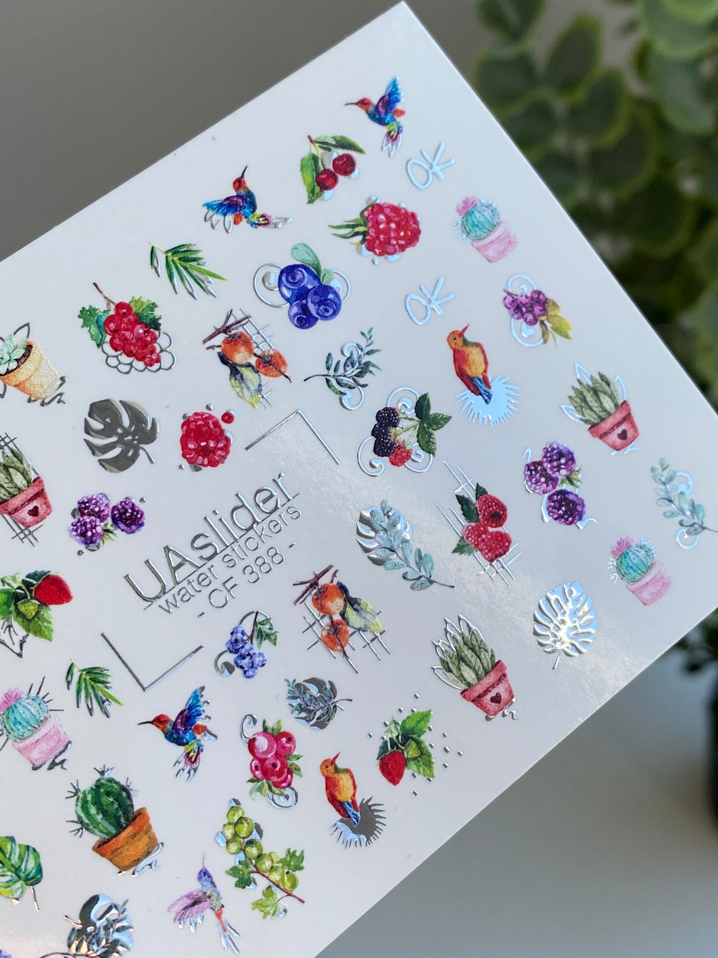 Nail Water Decal CF-388 | Tropical Water Slide Nail Decals | Birds, Cactus and Berries