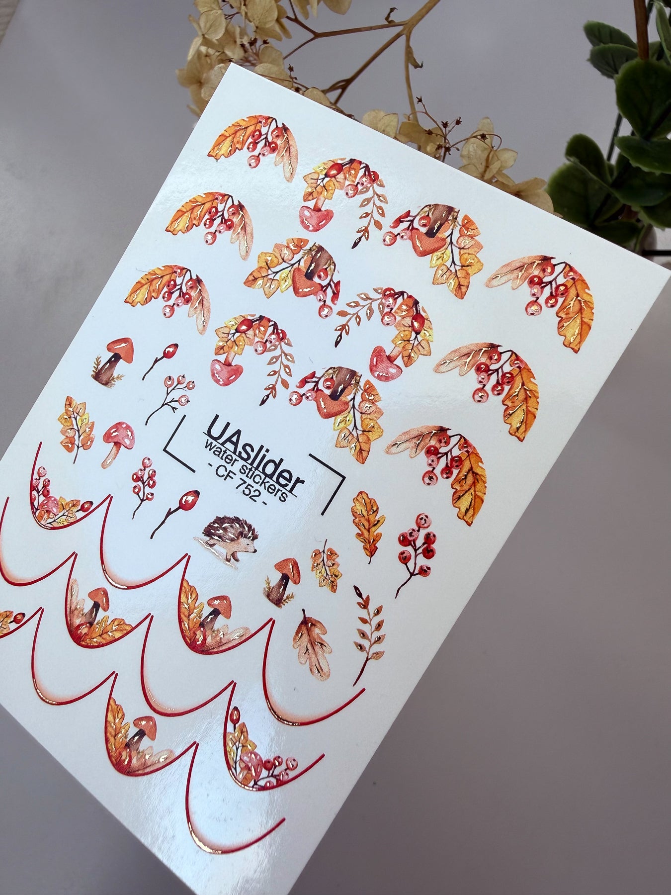 Nail Water Decal CF-752 | Water Slide Nail Decals | Autumn Leaves and Mushrooms Design