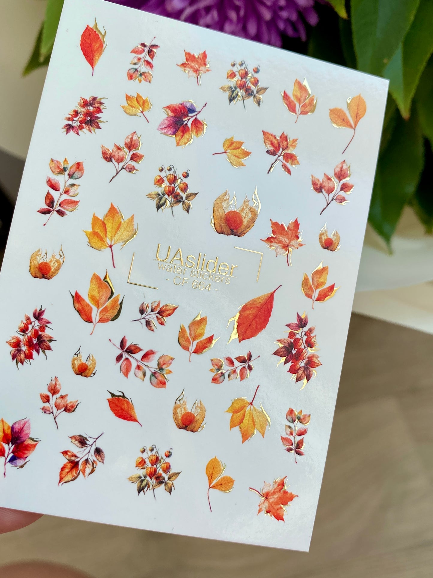Nail Water Decal CF-664 | Water Slide Nail Decals with Autumn Leaves & Berries | Fall Season Design