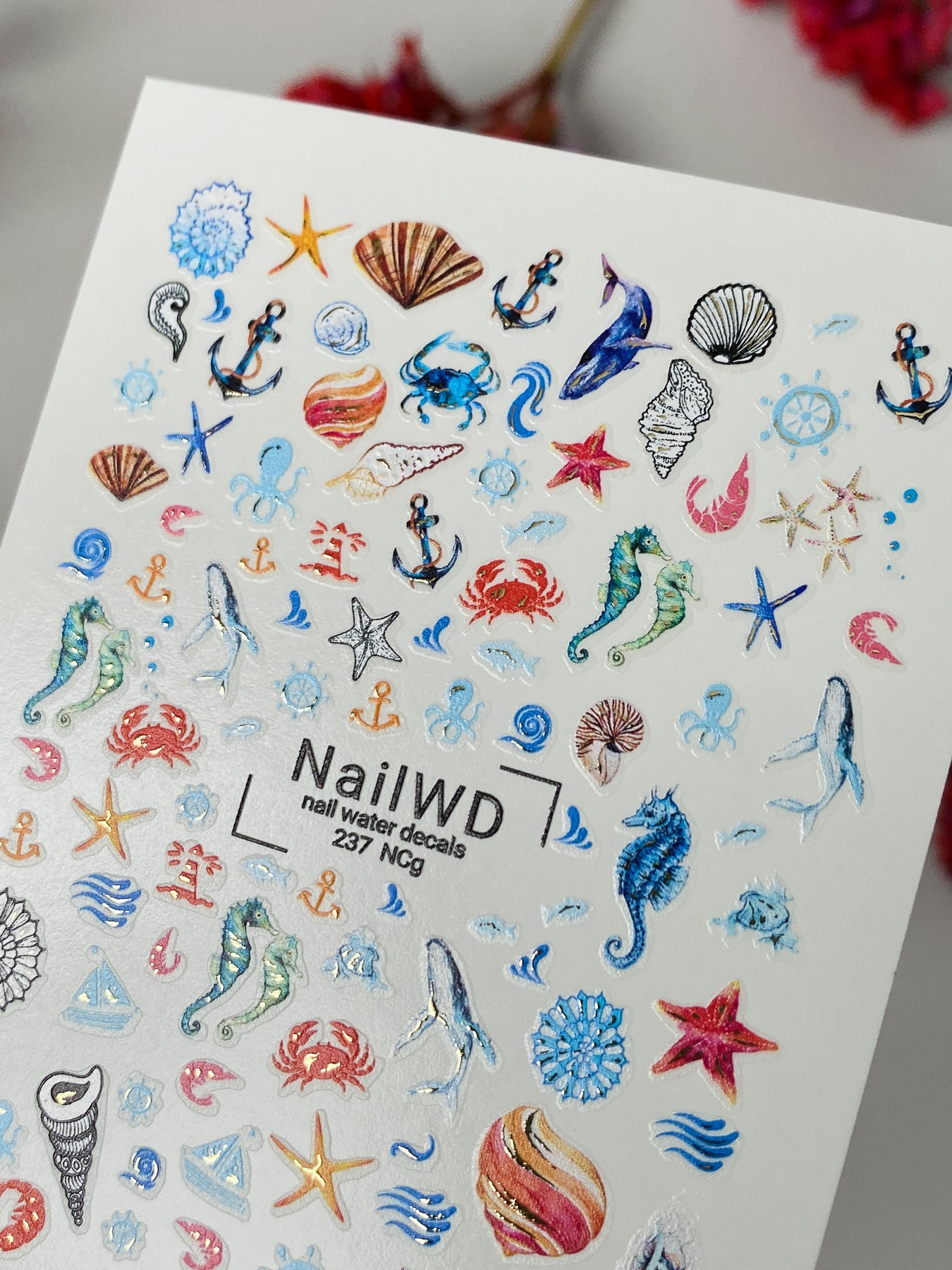 Nail Water Decal 237 Nail WD | Water Slide Nail Decals Ocean Theme | Nail Water Decals with Sea Creatures and Shells