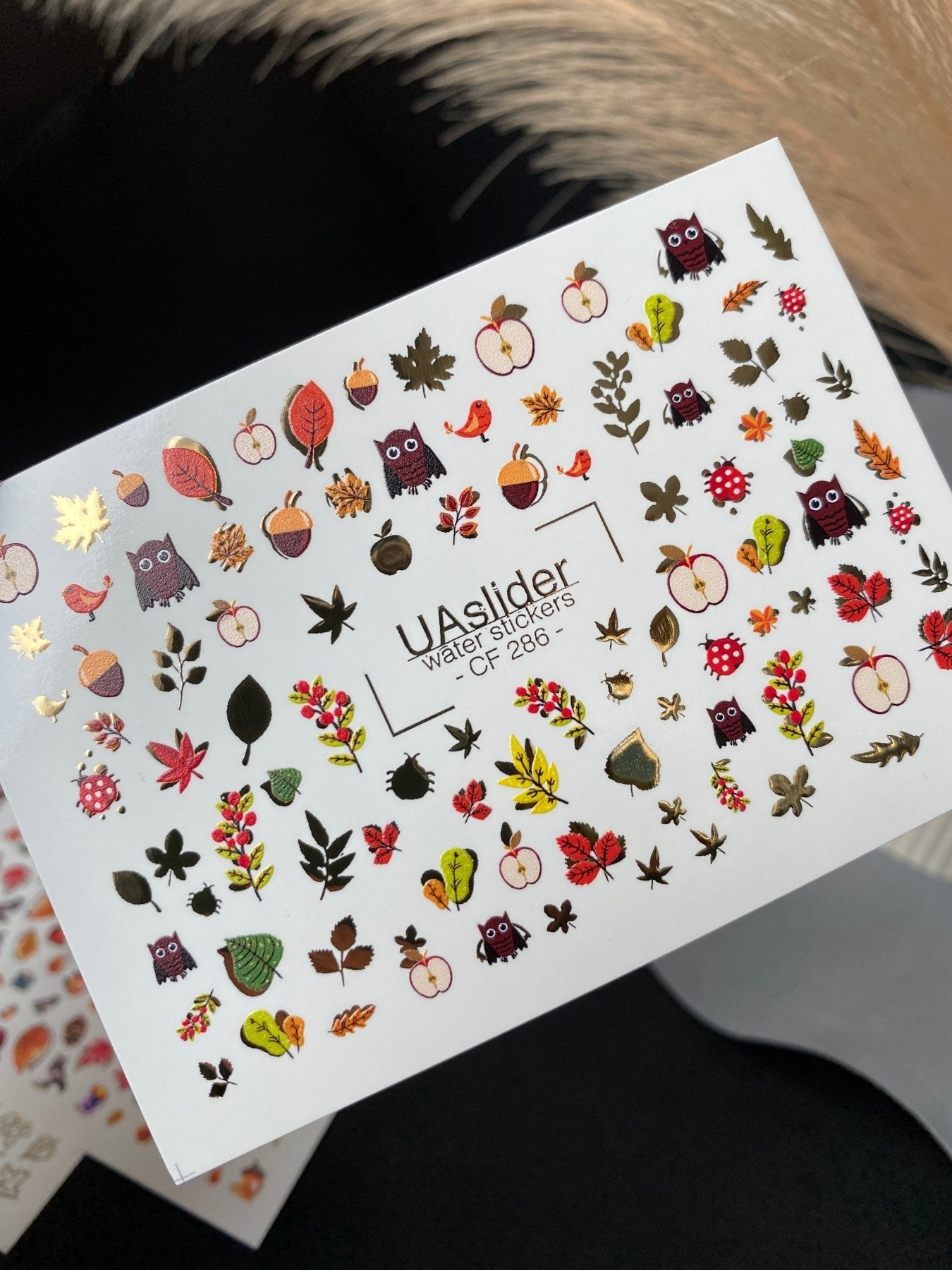 Nail Water Decal CF-286 | Autumn Forest Water Slide Nail Decals | Owls, Apples & Woodland Leaves - UASLIDER