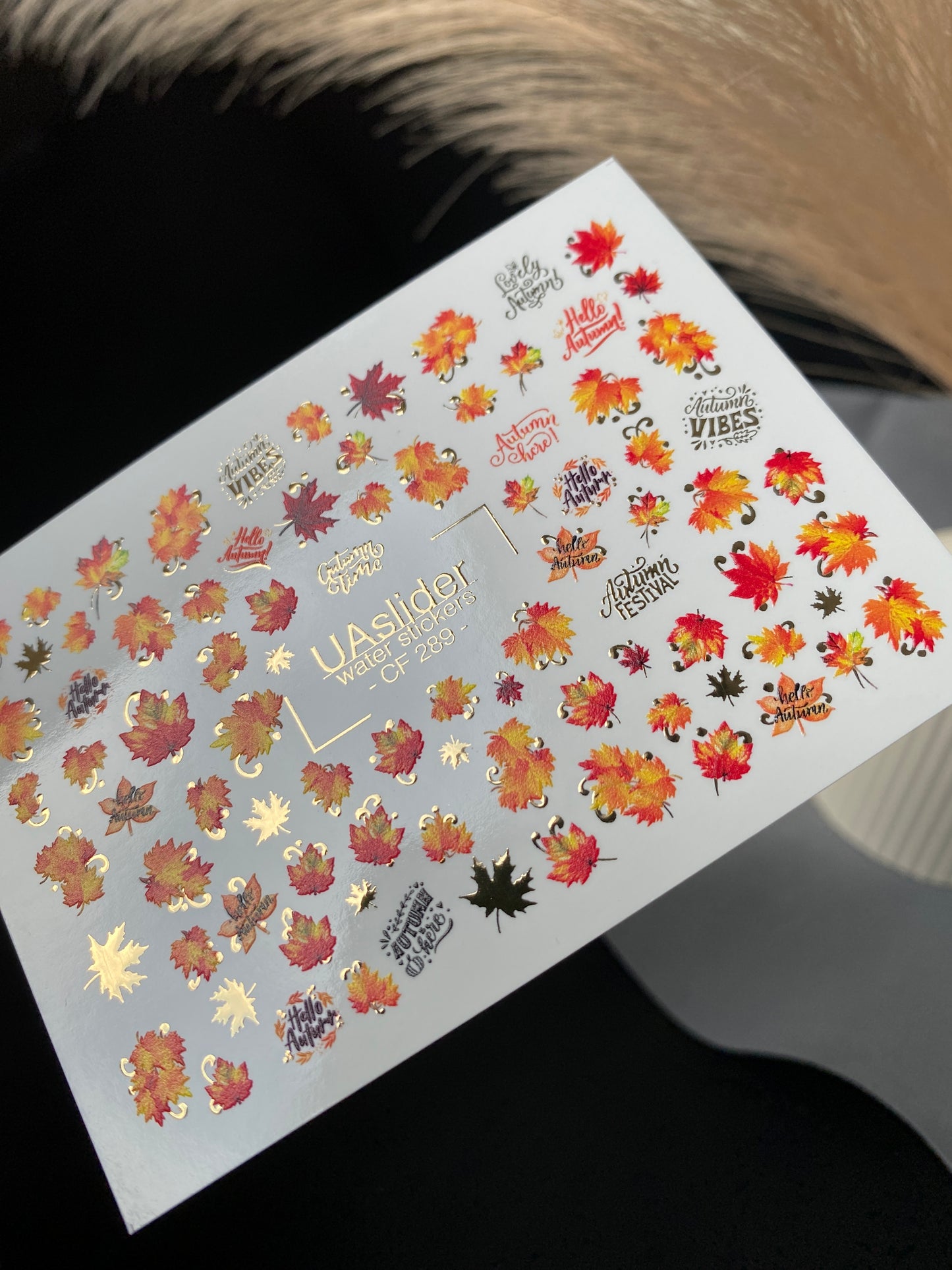 Nail Water Decal CF-289 | Autumn Leaves Water Slide Nail Decals | Fall Quotes & Seasonal Vibes