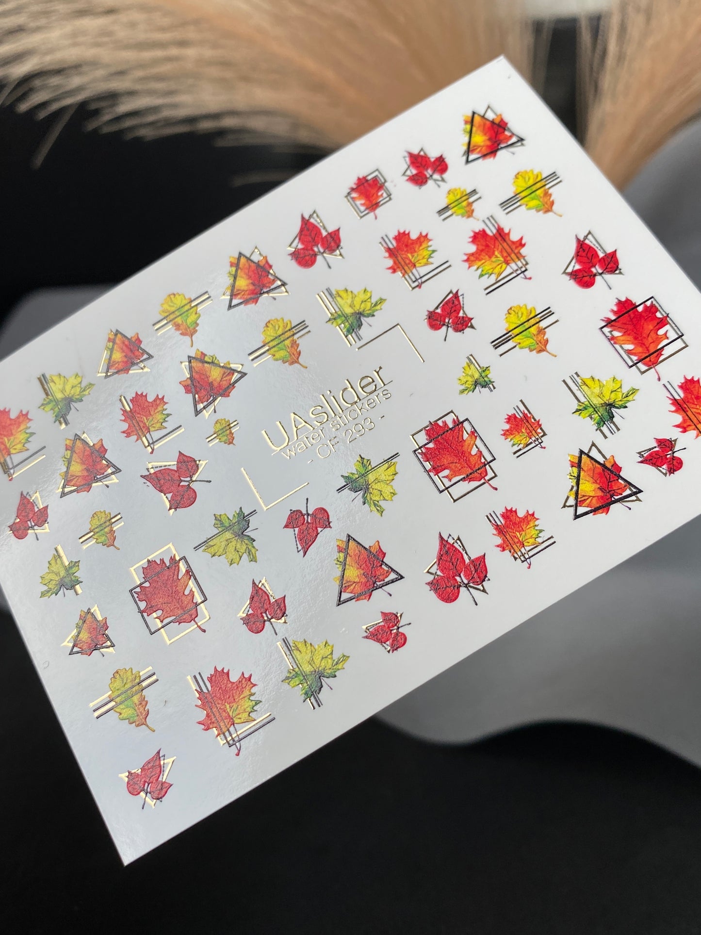 Nail Water Decal CF-293 | Autumn Water Slide Nail Decals | Fall Leaves & Geometric Frames
