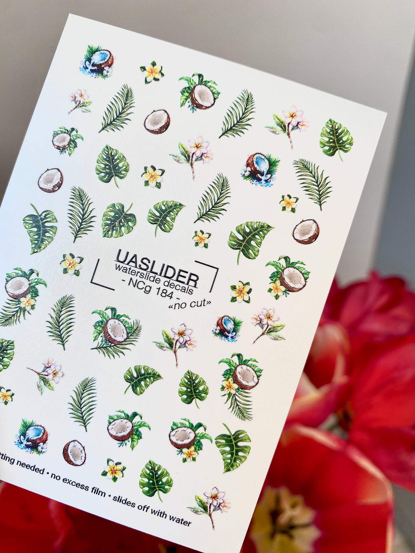 Tropical Nail Decals — Coconut, Monstera & Plumeria Flowers | NCg-184
