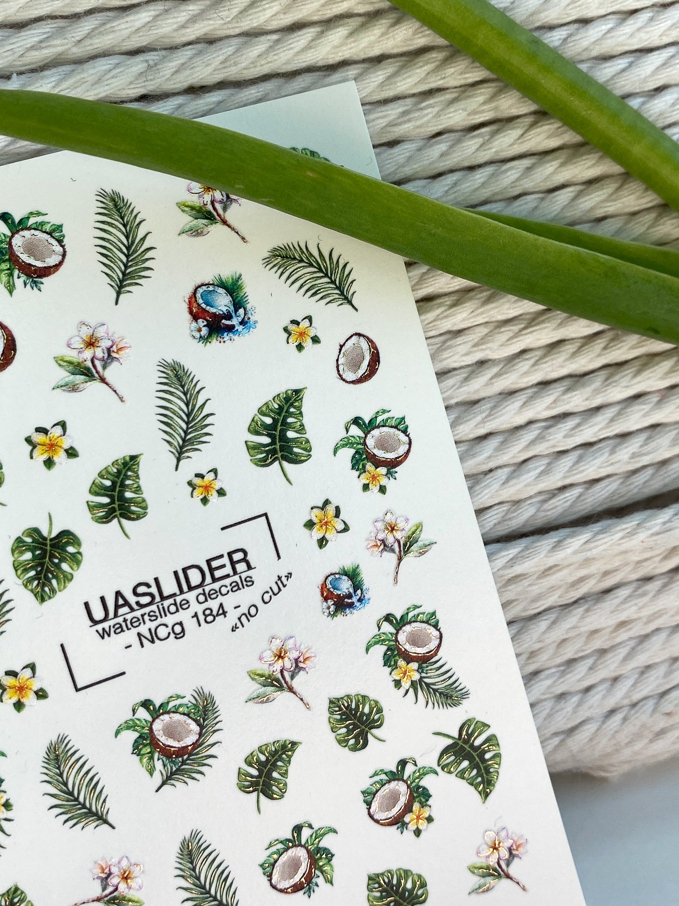 Tropical Nail Decals — Coconut, Monstera & Plumeria Flowers | NCg-184