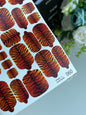 Nail wrap films wnb-060