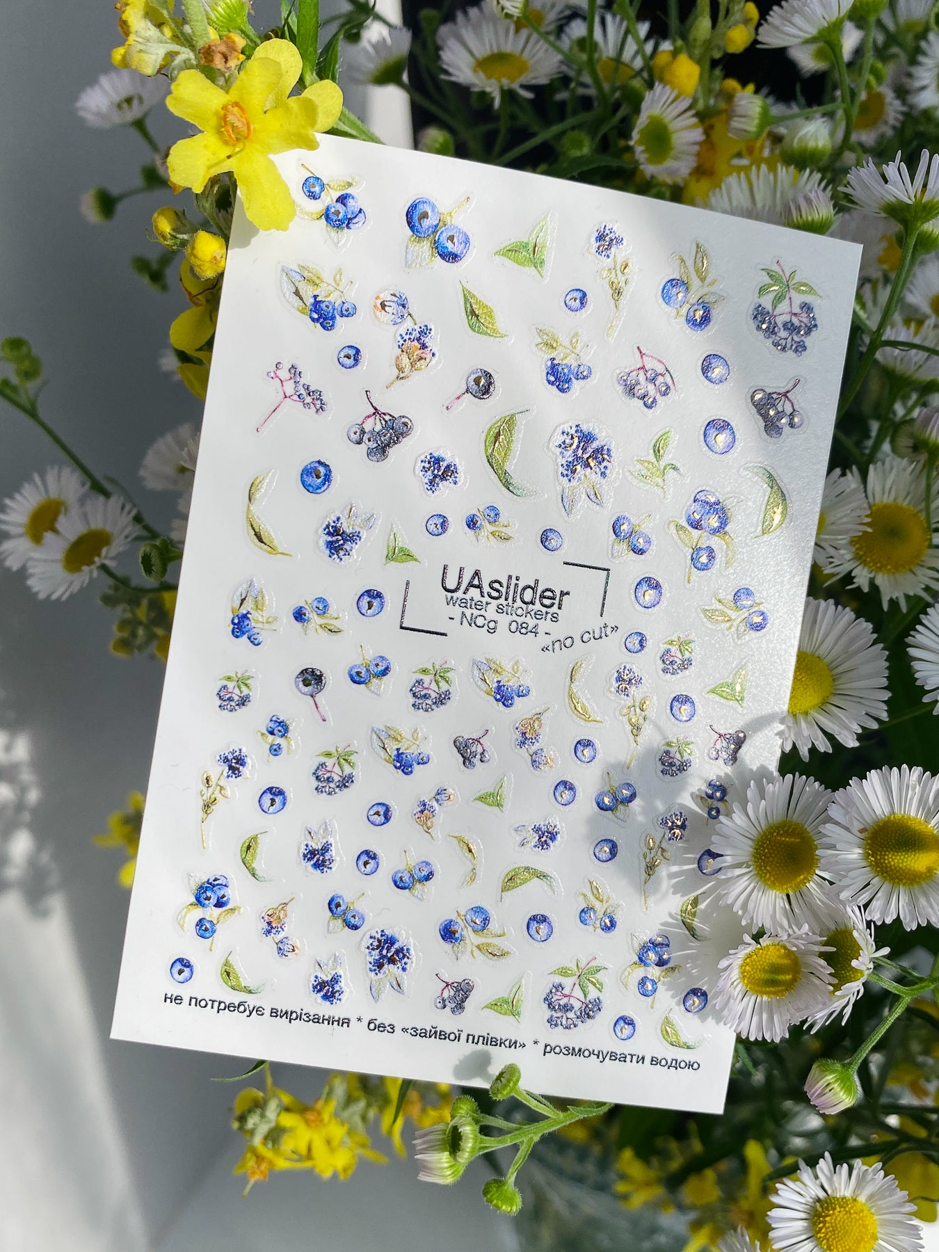 Nail Water Decal NCg-084 | Water Slide Nail Decals Blueberries | Fresh Berry Nail Art