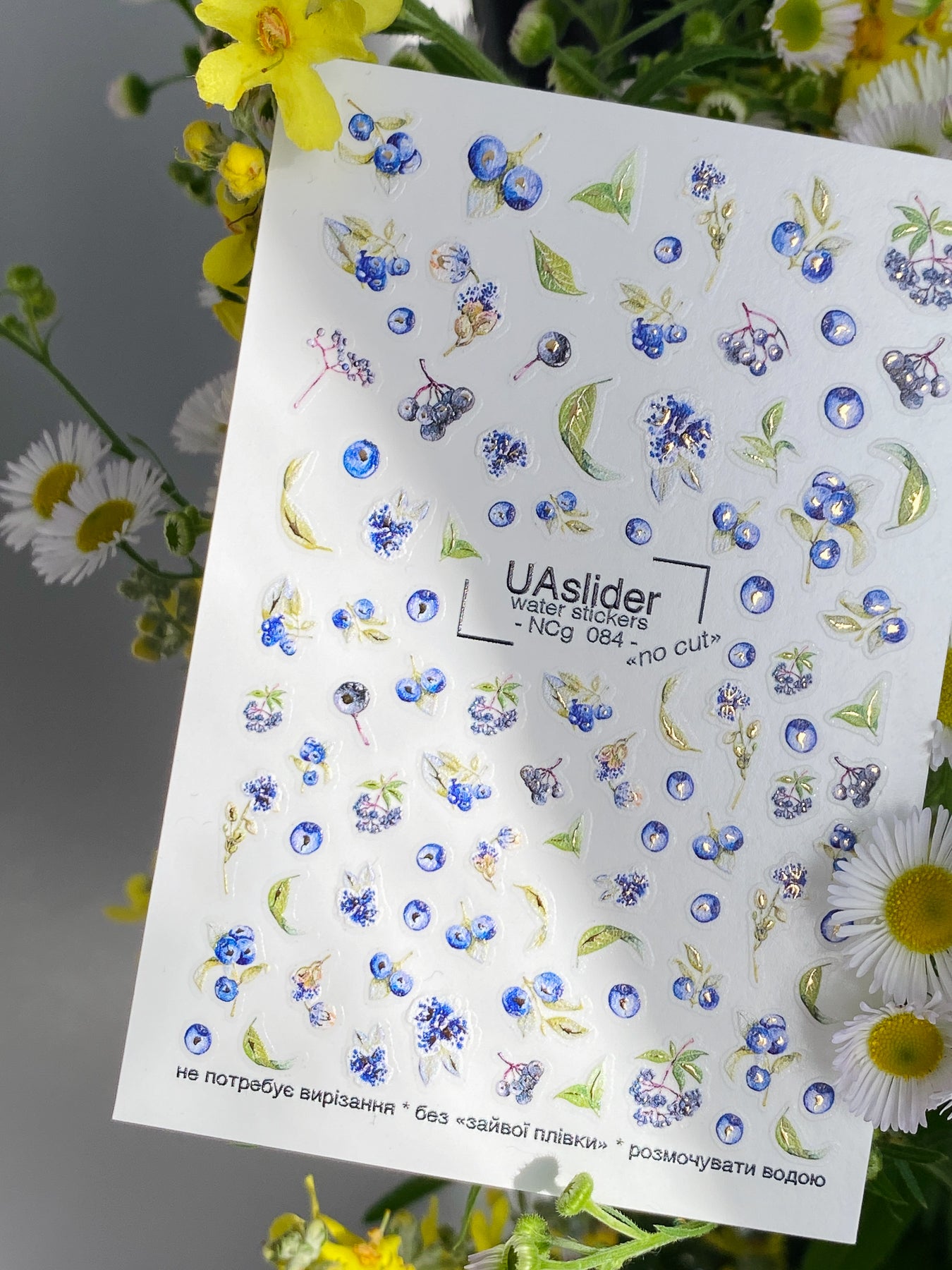 Nail Water Decal NCg-084 | Water Slide Nail Decals Blueberries | Fresh Berry Nail Art - UASLIDER