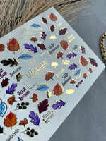 Nail Water Decal CF-272 | Autumn Water Slide Nail Decals | Colorful Fall Leaves & Hello Autumn Quotes - UASLIDER