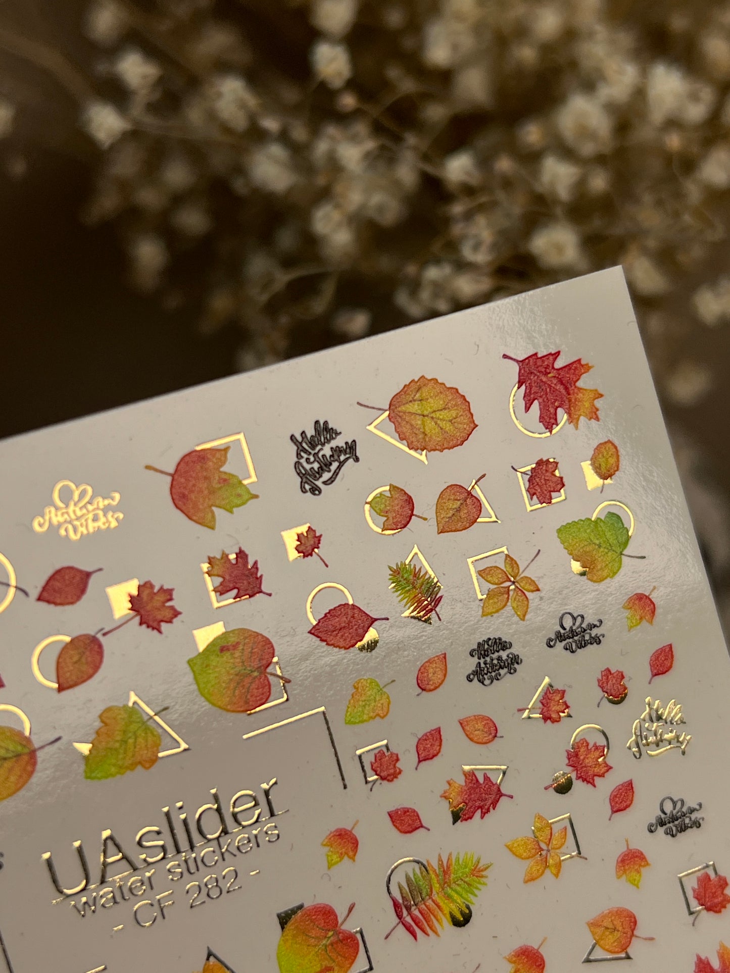 Nail Water Decal CF-282 | Autumn Water Slide Nail Decals | Fall Leaves & Geometric Frames