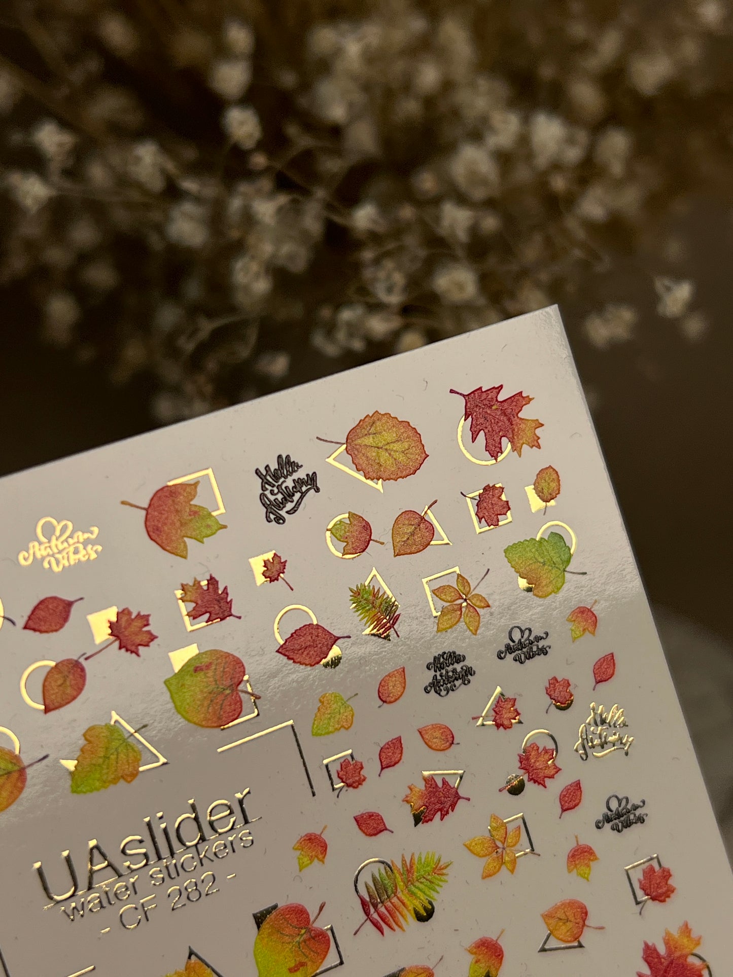 Nail Water Decal CF-282 | Autumn Water Slide Nail Decals | Fall Leaves & Geometric Frames