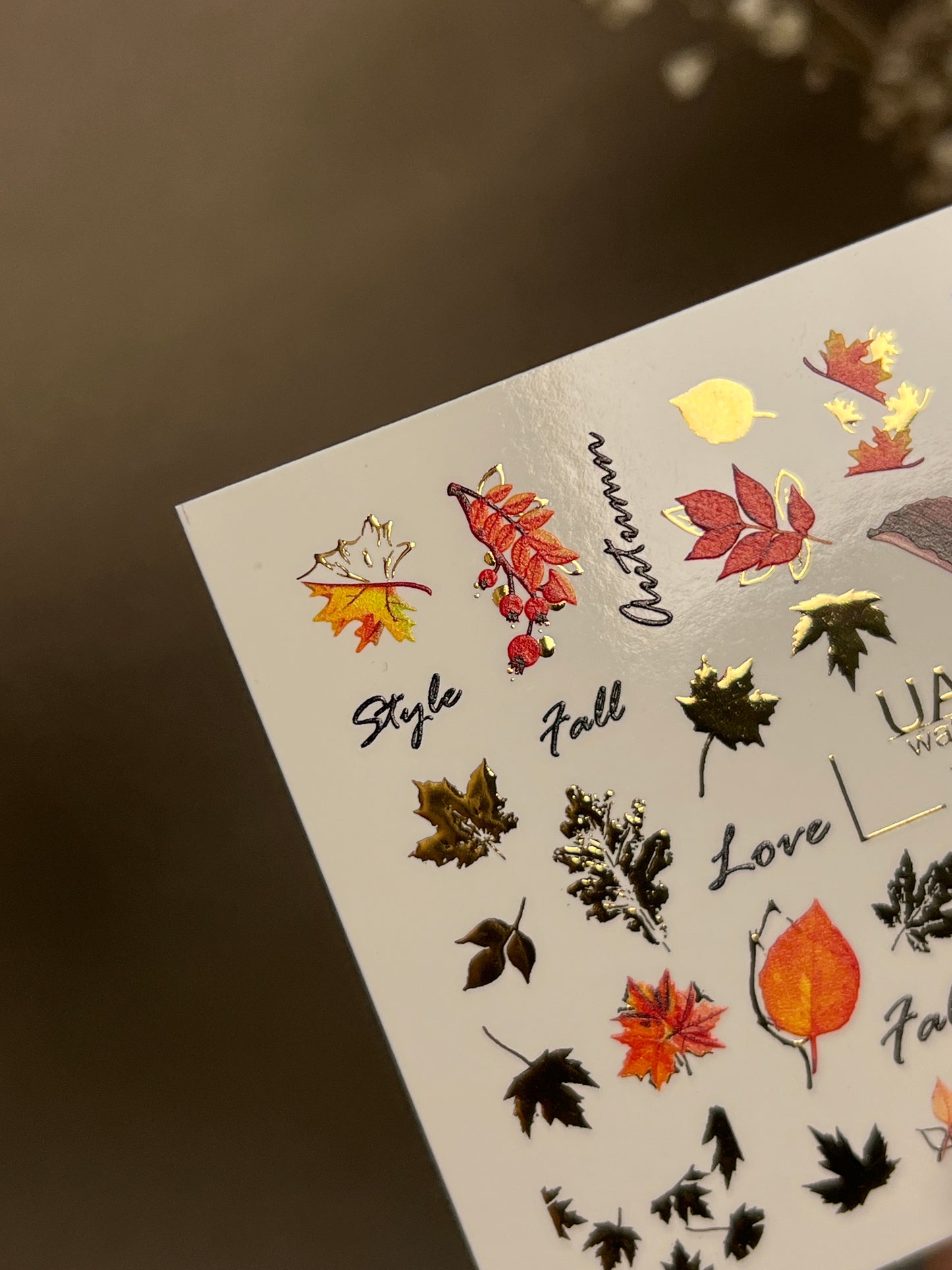 Nail Water Decal CF-276 | Autumn Water Slide Nail Decals | Fall Leaves, Gold Accents & Seasonal Quotes