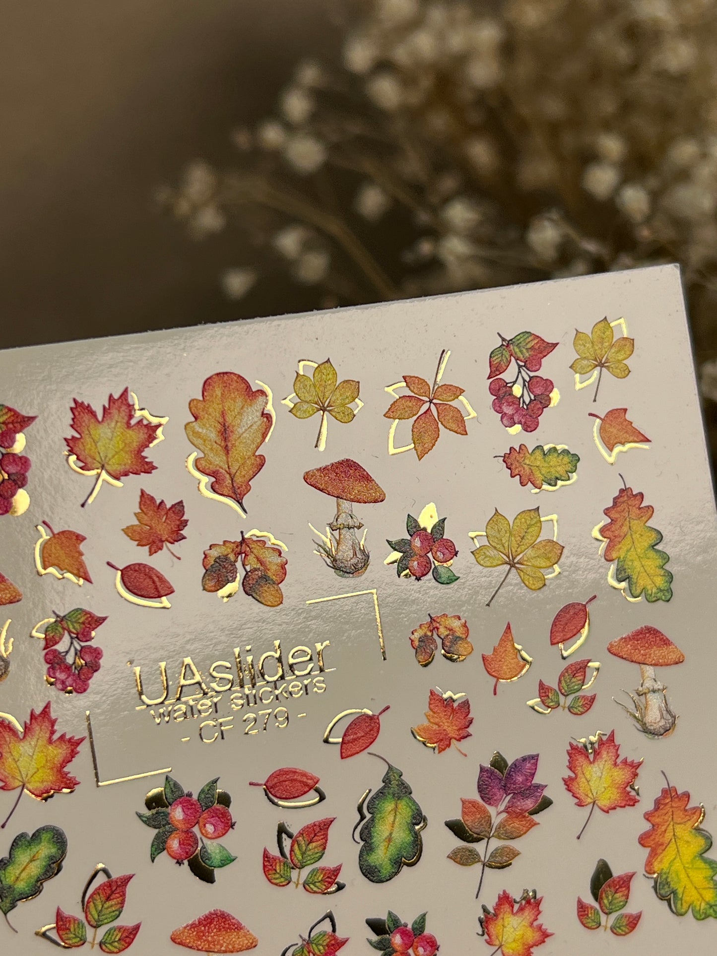 Nail Water Decal CF-279 | Autumn Water Slide Nail Decals | Fall Leaves, Mushrooms & Berries with Gold Accents
