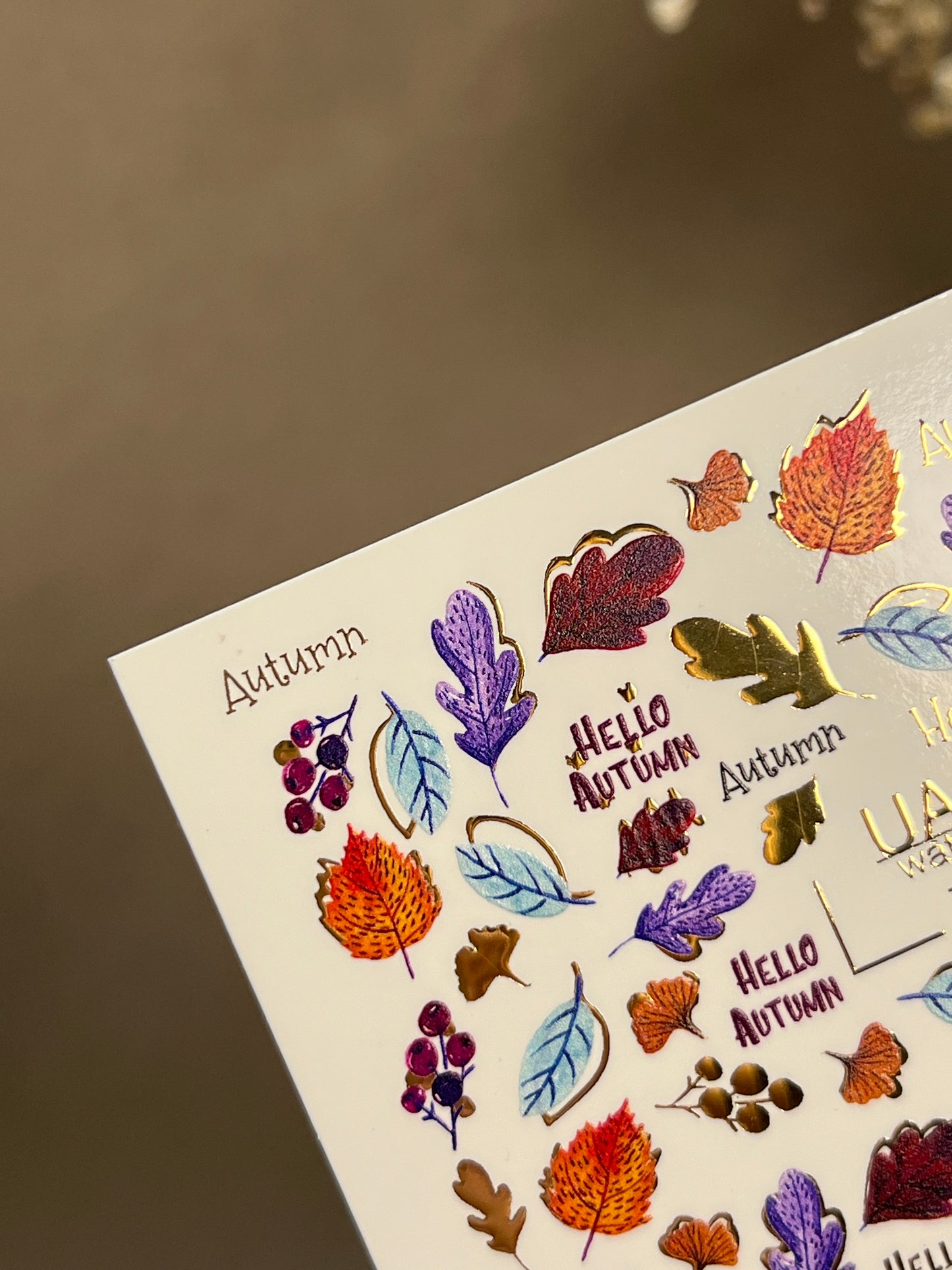 Nail Water Decal CF-272 | Autumn Water Slide Nail Decals | Colorful Fall Leaves & Hello Autumn Quotes