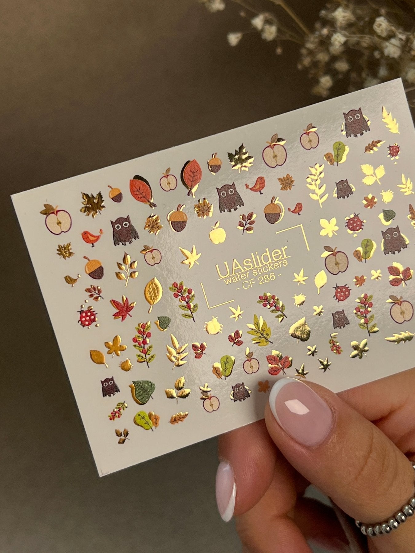 Nail Water Decal CF-286 | Autumn Forest Water Slide Nail Decals | Owls, Apples & Woodland Leaves - UASLIDER
