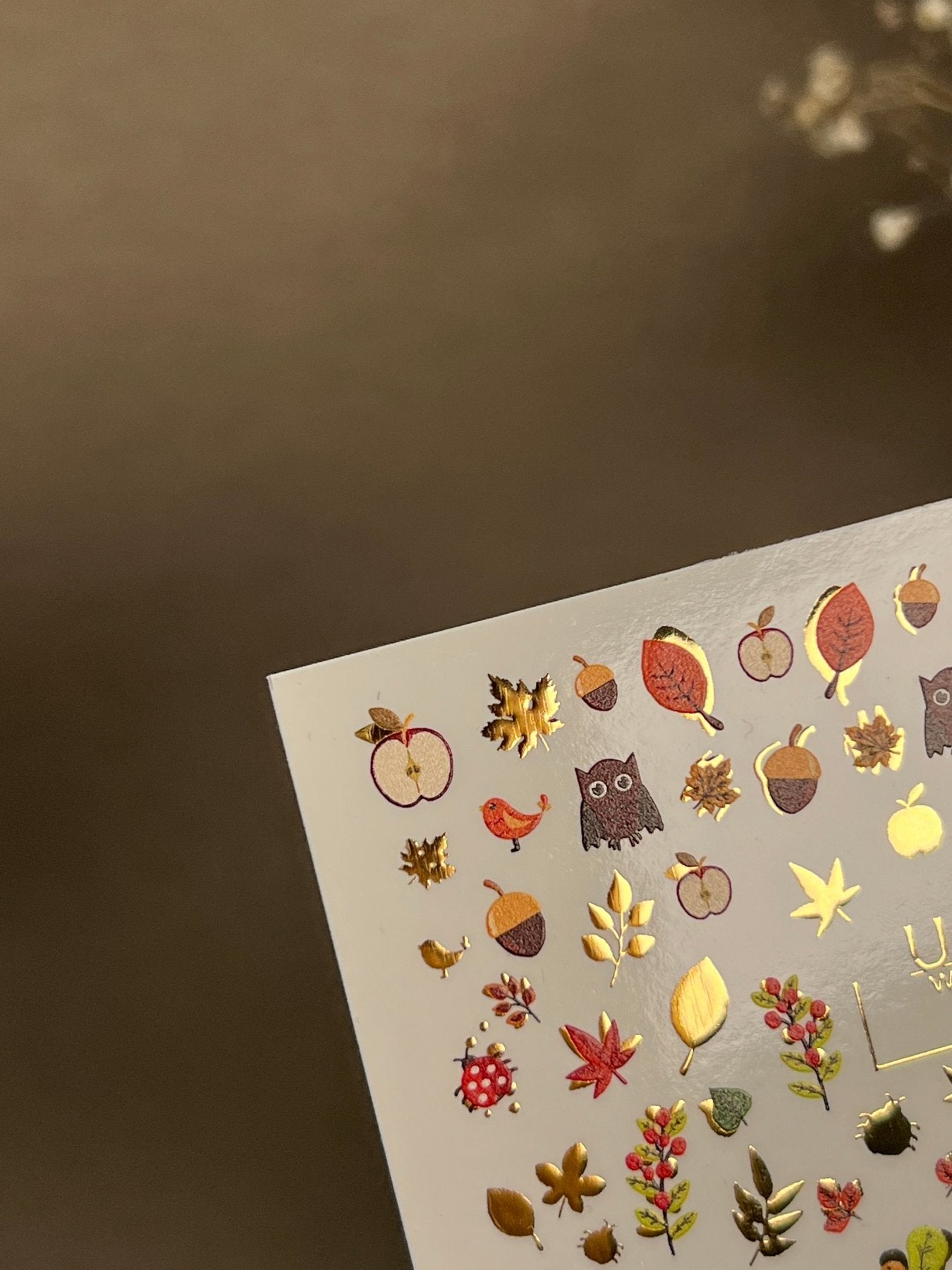 Nail Water Decal CF-286 | Autumn Forest Water Slide Nail Decals | Owls, Apples & Woodland Leaves - UASLIDER