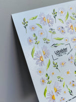 Nail Water Decal NCg-113 | Water Slide Nail Decals with Daisies | White Floral Design - UASLIDER
