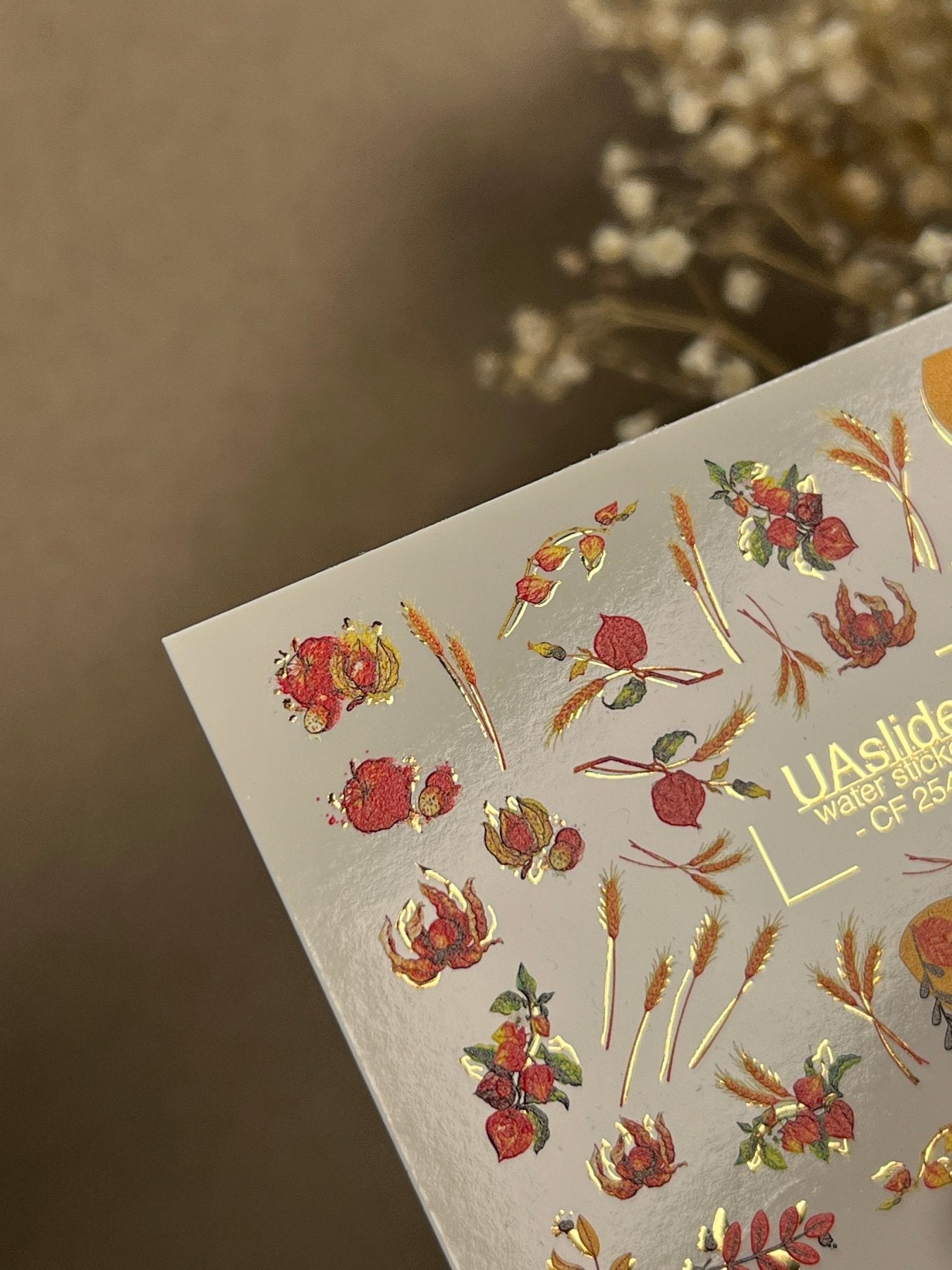 Nail Water Decal CF-254 | Autumn Water Slide Nail Decals | Wheat, Red Berries & Fall Leaves - UASLIDER
