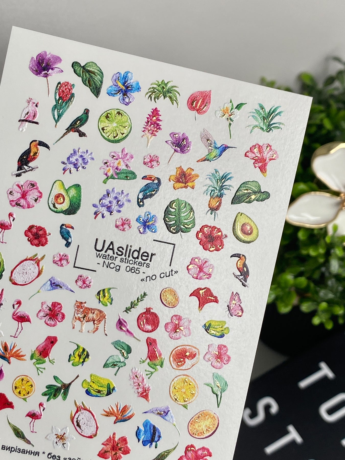 Küünte veekleebis NCg-065 | Veeliuguri küünte kleebised Troopiline paradiis | Eksootilised linnud, puuviljad ja lilled