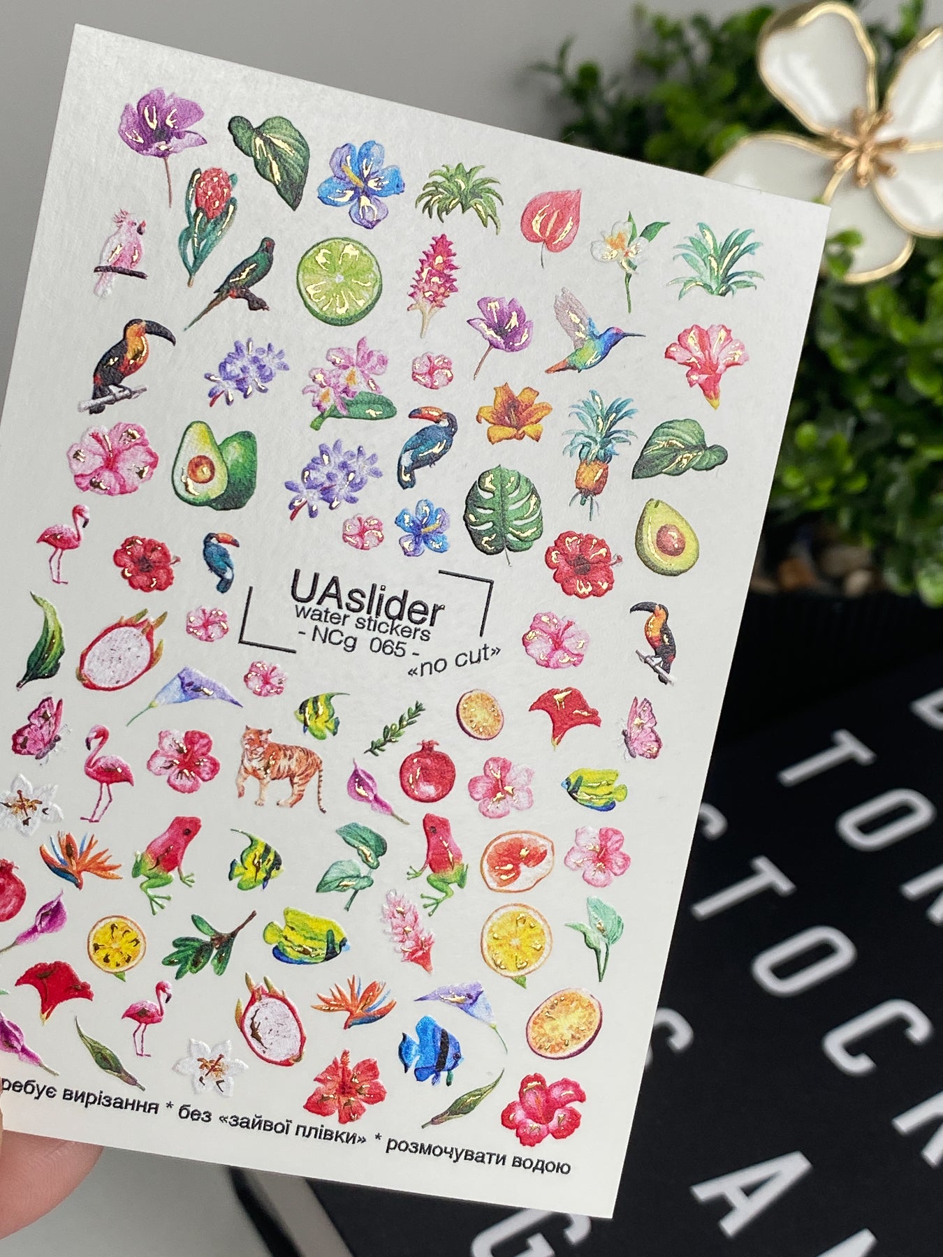 Nail Water Decal NCg-065 | Water Slide Nail Decals Tropical Paradise | Exotic Birds, Fruits and Flowers - UASLIDER