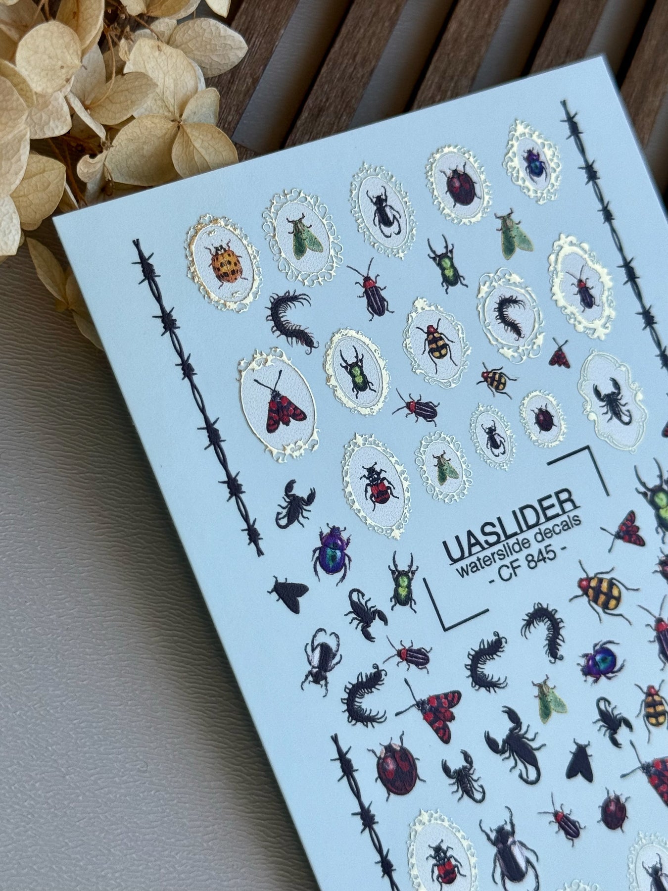 Bug Nail Decals — Insects, Scorpions & Gold Foil Frames | CF-845 - UASLIDER