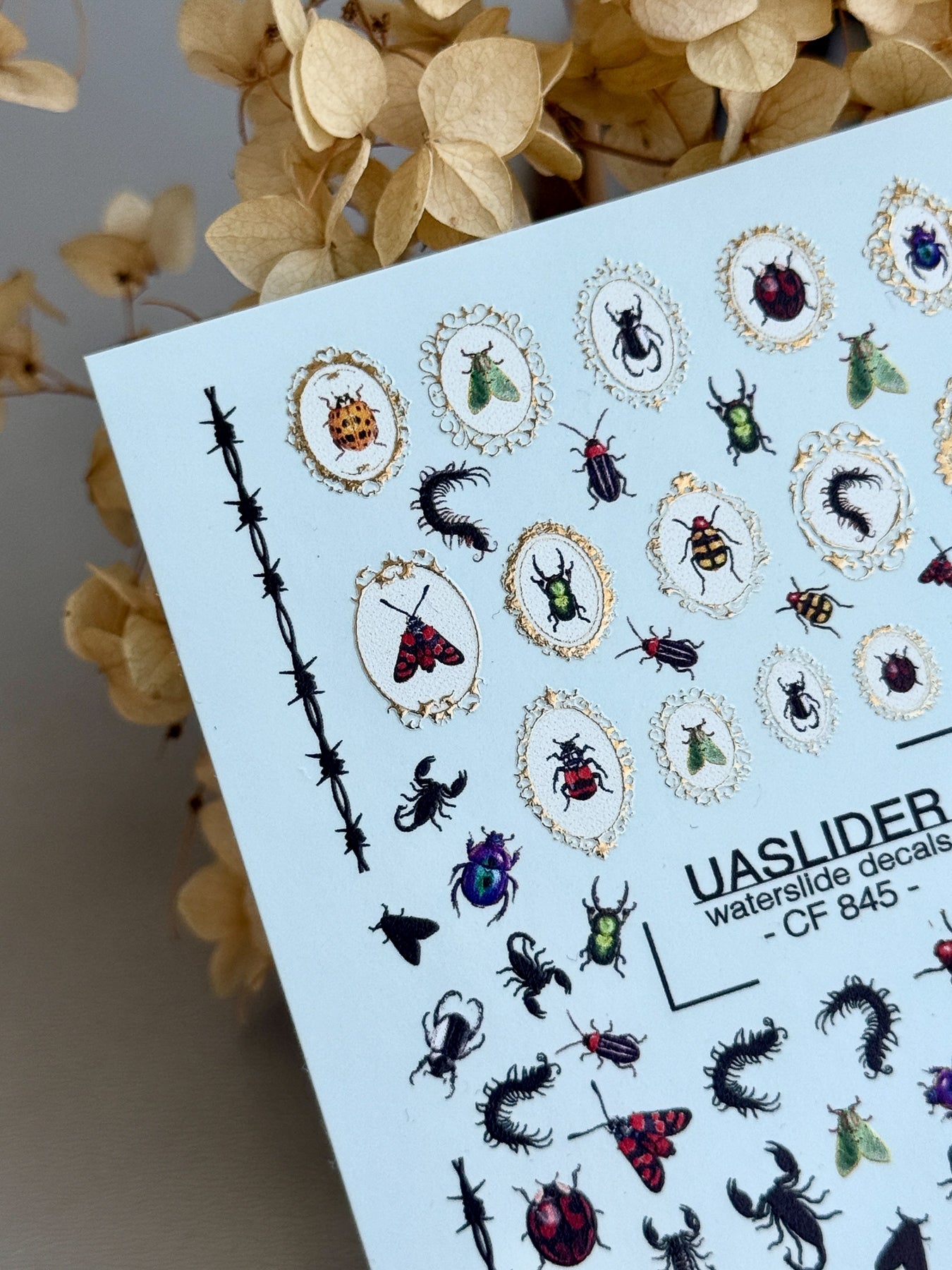 Bug Nail Decals — Insects, Scorpions & Gold Foil Frames | CF-845 - UASLIDER