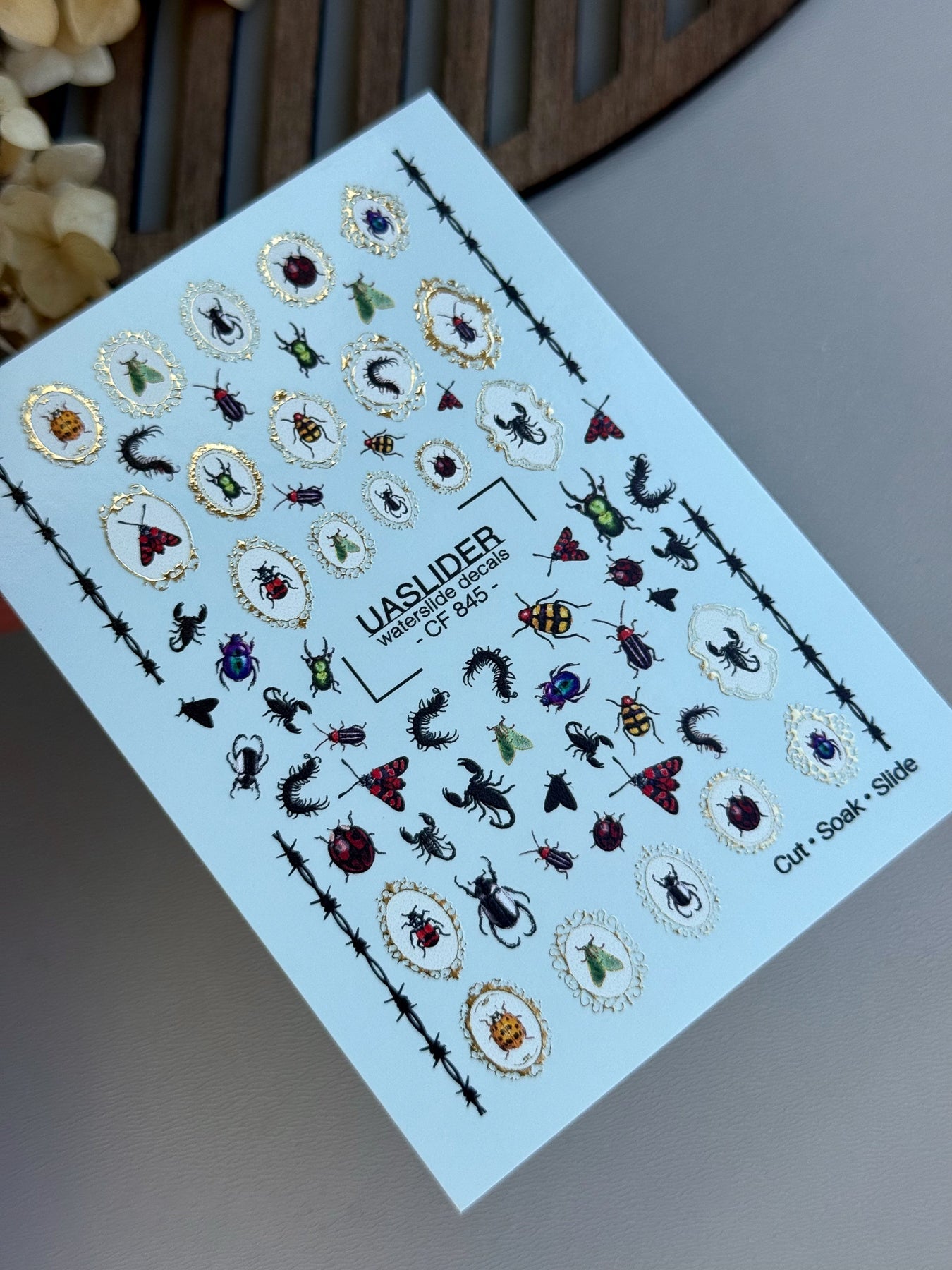 Bug Nail Decals — Insects, Scorpions & Gold Foil Frames | CF-845 - UASLIDER