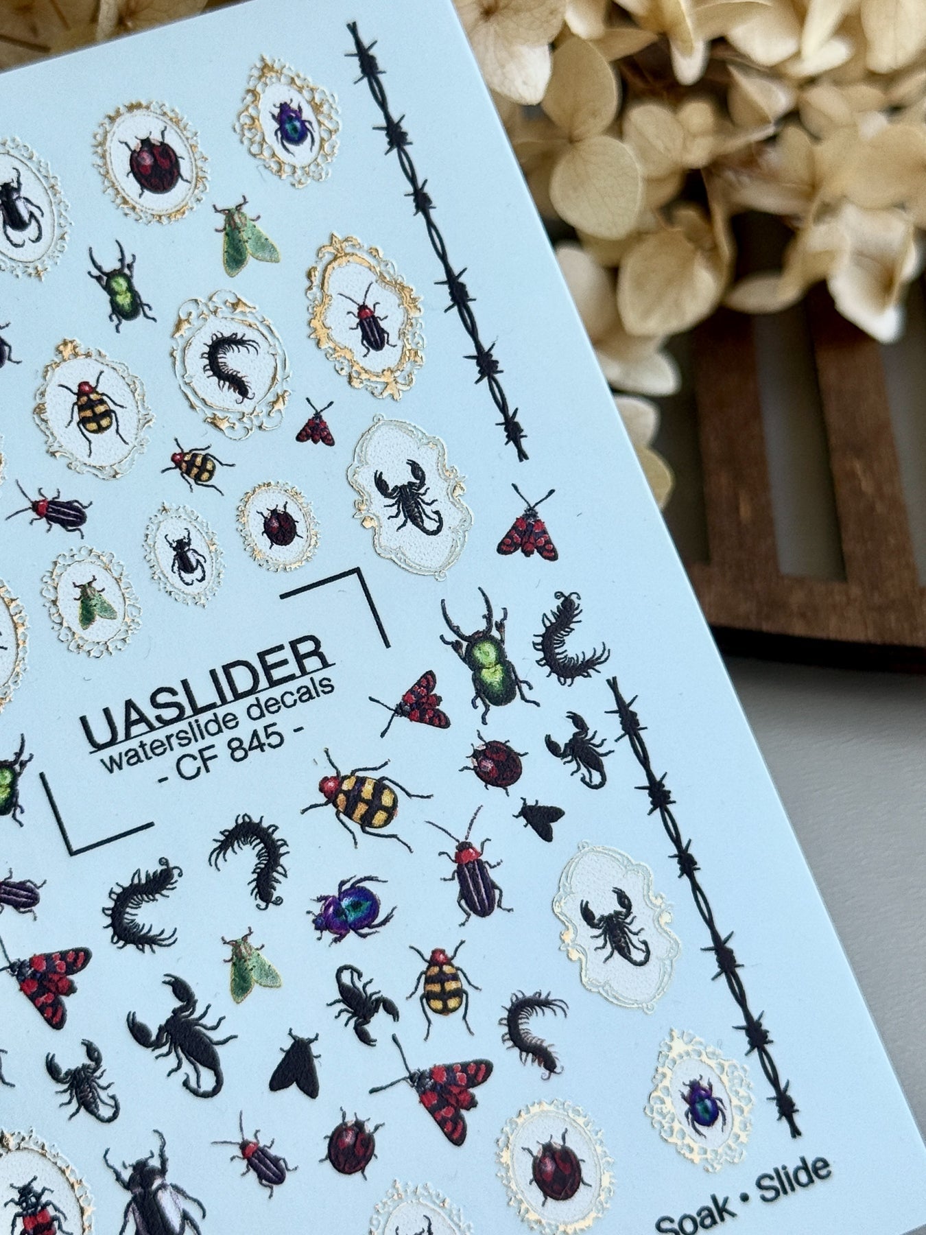 Bug Nail Decals — Insects, Scorpions & Gold Foil Frames | CF-845 - UASLIDER