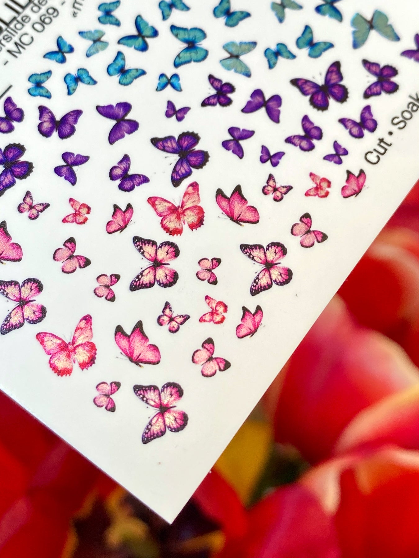 Butterfly Nail Decals — Rainbow Ombre Swarm, All Sizes | MC-069 - UASLIDER