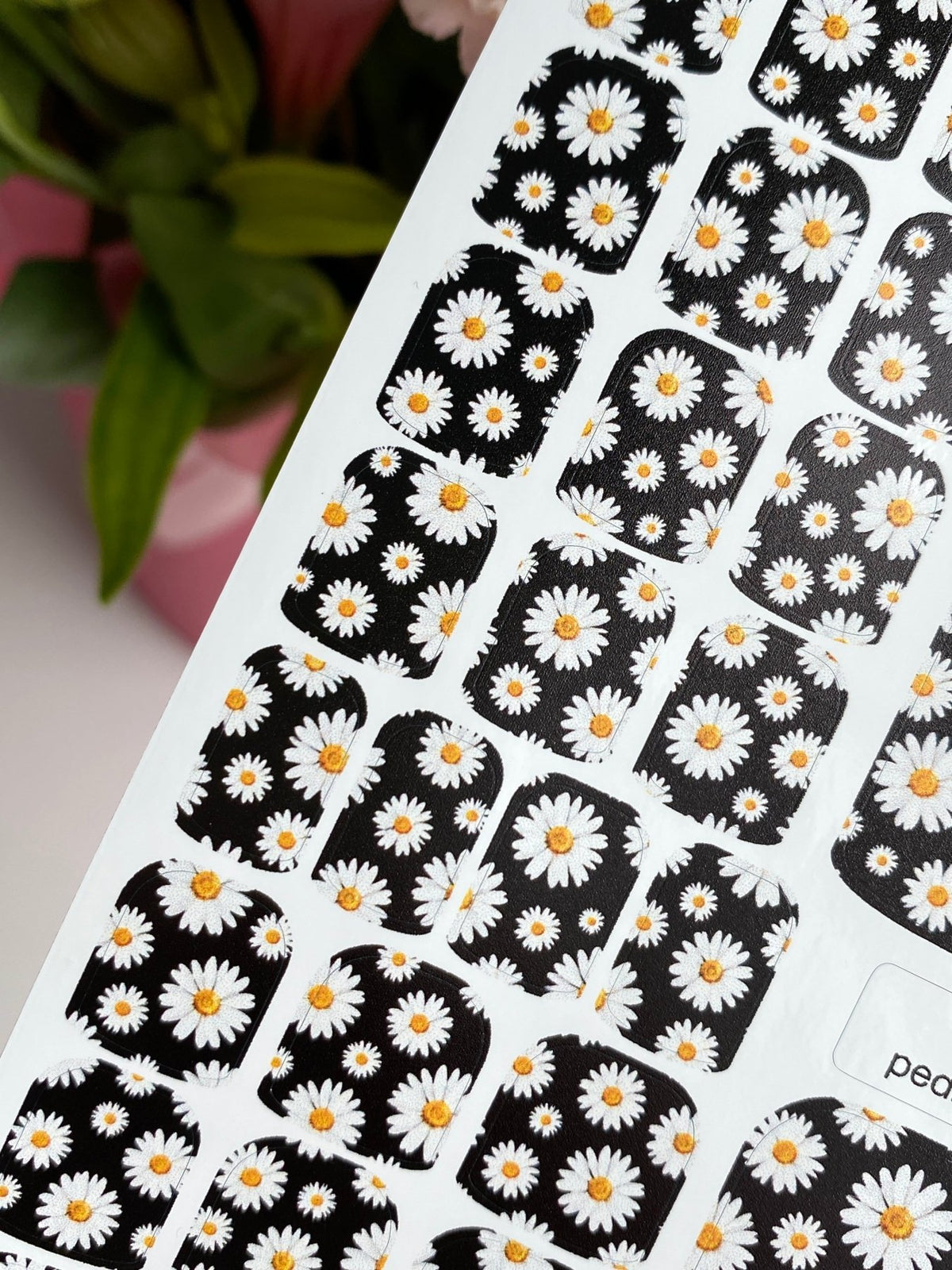 Daisy Pedicure Nail Wraps — White Flowers on Black | pw-335 - UASLIDER