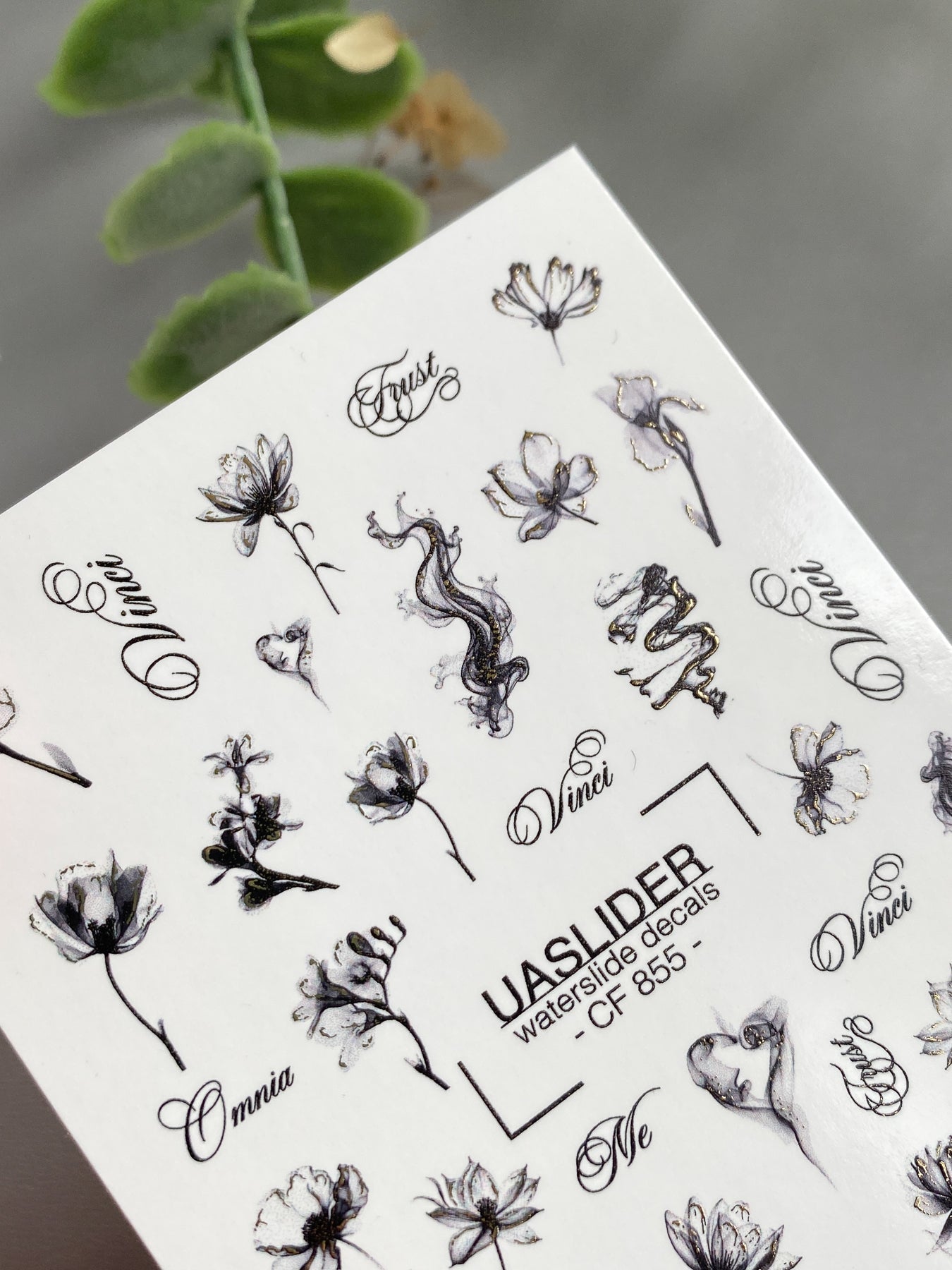 Floral Nail Decals — Ink Sketch Flowers & Script Words | CF - 855 - UASLIDER