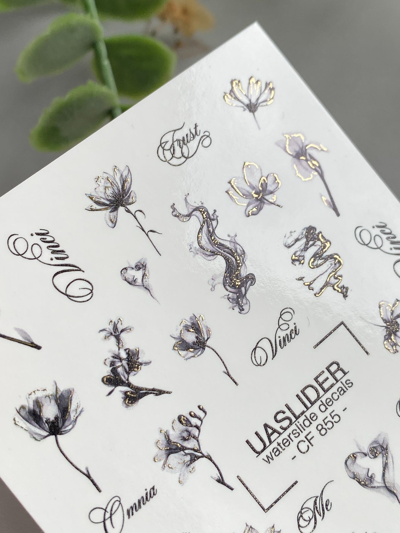 Floral Nail Decals — Ink Sketch Flowers & Script Words | CF - 855 - UASLIDER