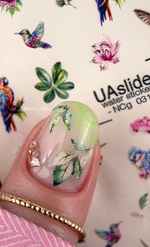 Nail Water Decal NCg - 031 | Water Slide Nail Decals with Hummingbirds, Parrots & Flowers | Exotic Tropical Set - UASLIDER