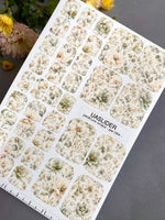 Pedicure Wraps — Sage Meadow Botanical | PW-084 - UASLIDER