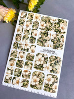 Pedicure Wraps — Vintage Wild Rose Botanical | PW-074 - UASLIDER