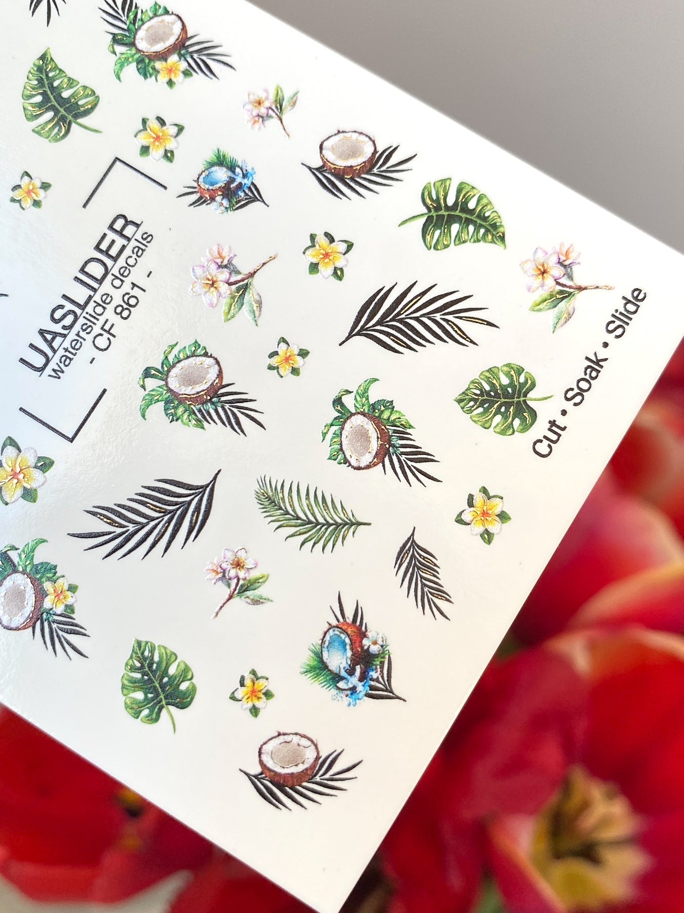 Summer Nail Decals — Tropical Coconuts, Palm Leaves & Plumeria | CF - 861 - UASLIDER