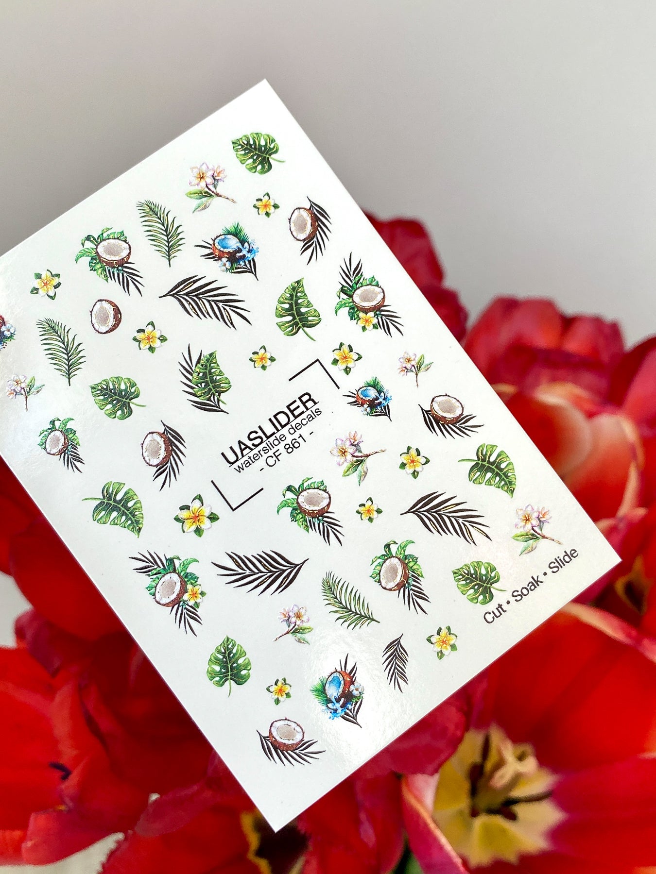 Summer Nail Decals — Tropical Coconuts, Palm Leaves & Plumeria | CF - 861 - UASLIDER